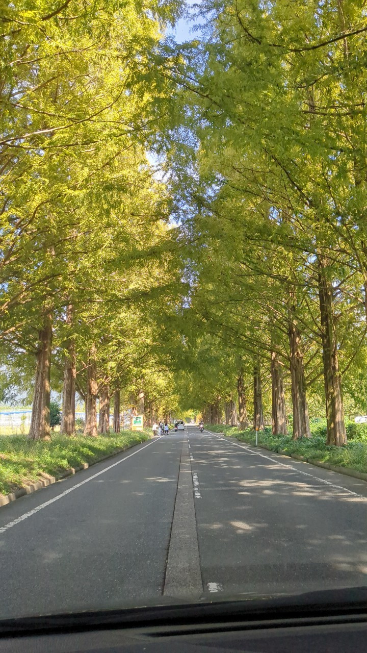 事務サポートSのブログ『琵琶湖へ！』の画像