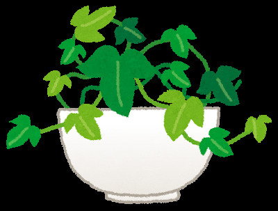 観葉植物の画像