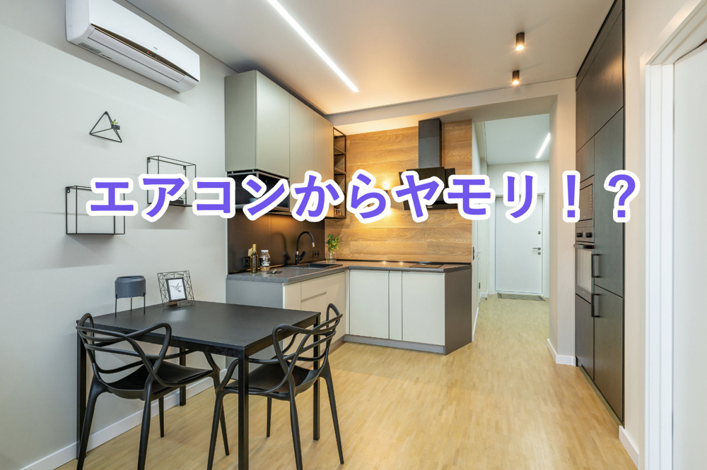 【知らなきゃやばい！】ヤモリがエアコンの中に入って故障？ヤモリがエアコンに侵入する理由やエアコンを守るためのヤモリ対策について解説！の画像