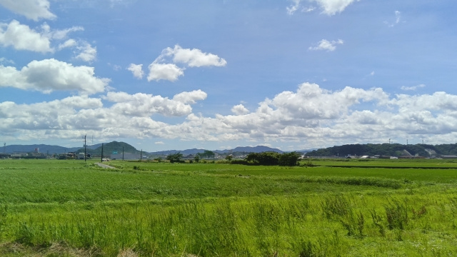 農地の売却は難しい？税金の特例についても解説