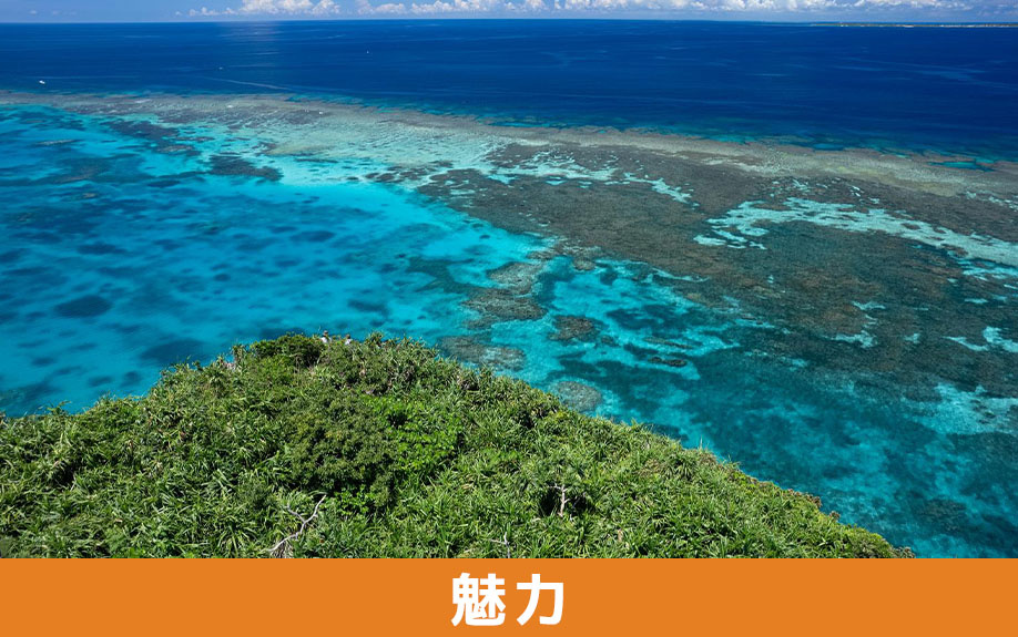 海沿いの家の魅力と購入するメリット