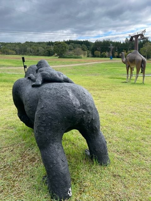 夏×ゲレンデの画像