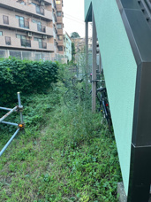 川崎市高津区　共同住宅の除草・清掃（2024年施工一例）の画像