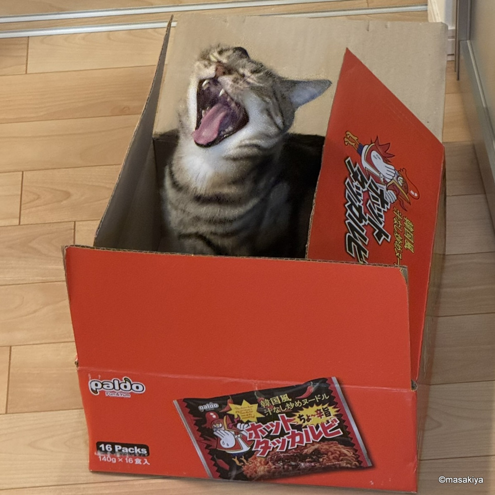 年末の予定の画像