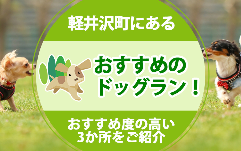 軽井沢町にあるおすすめのドッグラン！おすすめ度の高い3か所をご紹介の画像