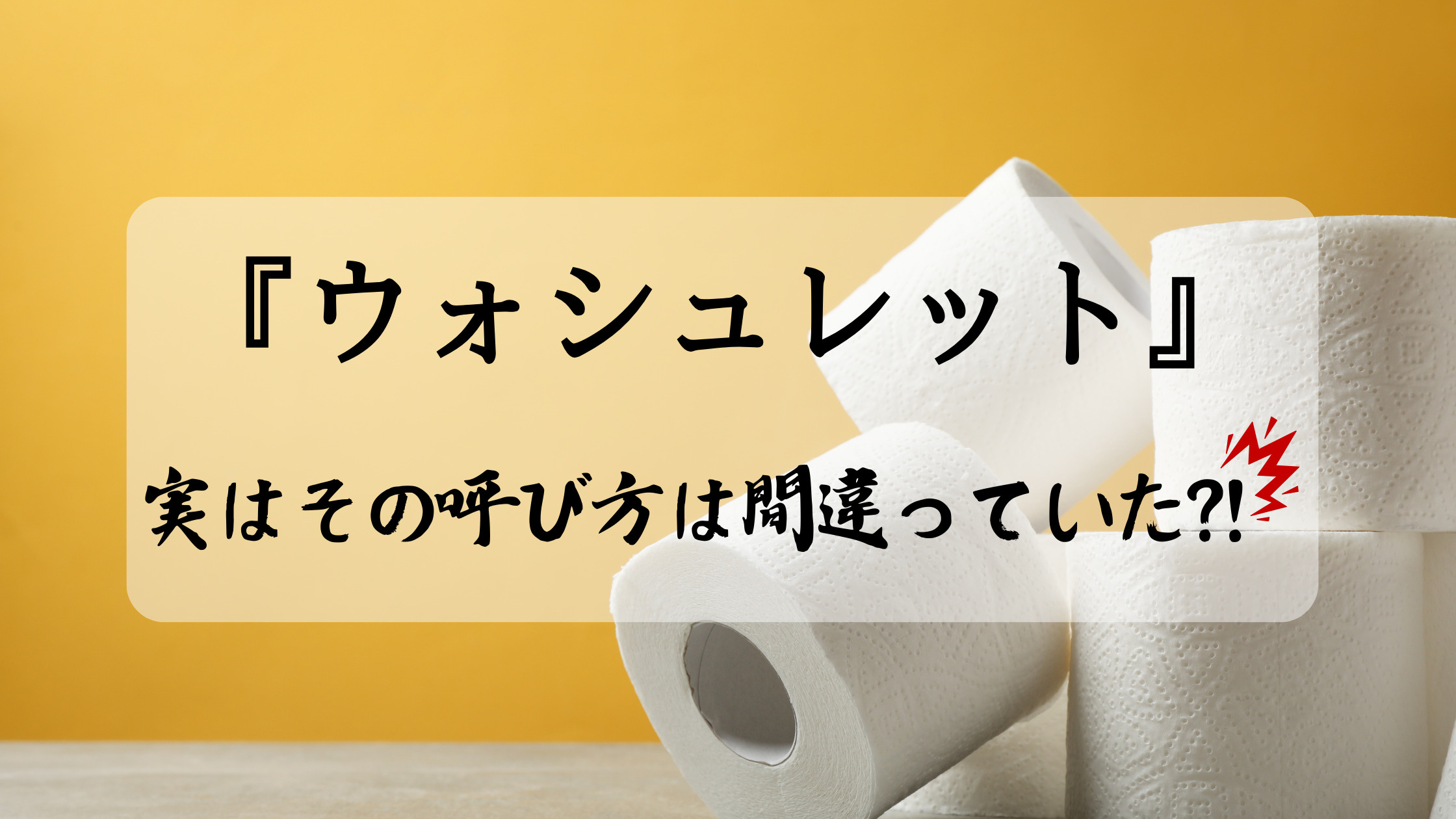 ウォシュレット、実はその呼び方は間違っていた？！の画像