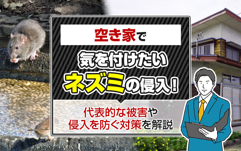 空き家で気を付けたいネズミの侵入！代表的な被害や侵入を防ぐ対策を解説の画像