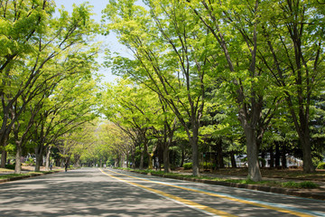 高崎市の住みやすい地域ランキング徹底解説！の画像