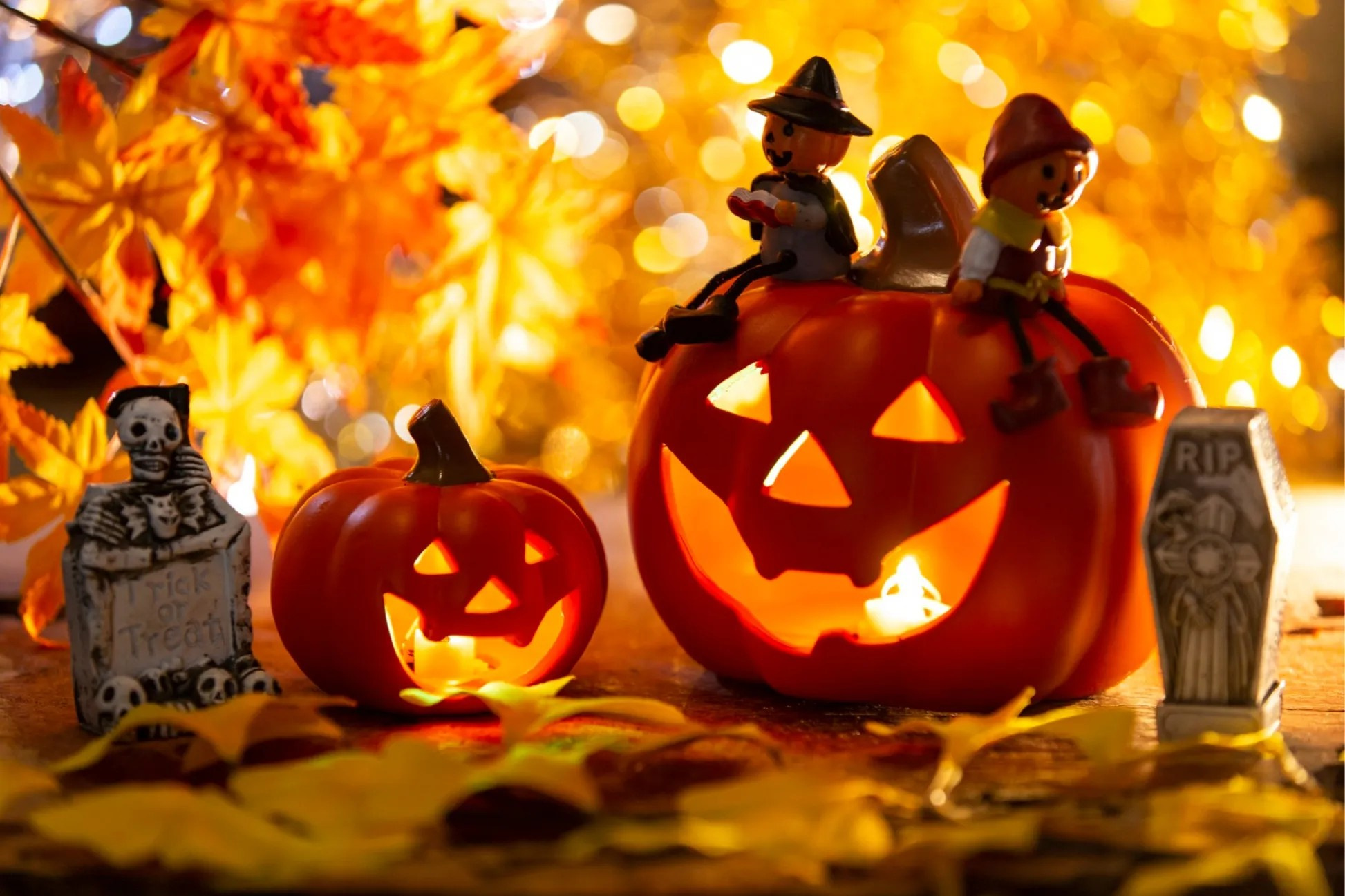 地元ネタ(・∀・)♪の画像