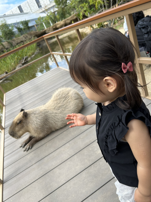 神戸どうぶつ王国に行ってきました！の画像