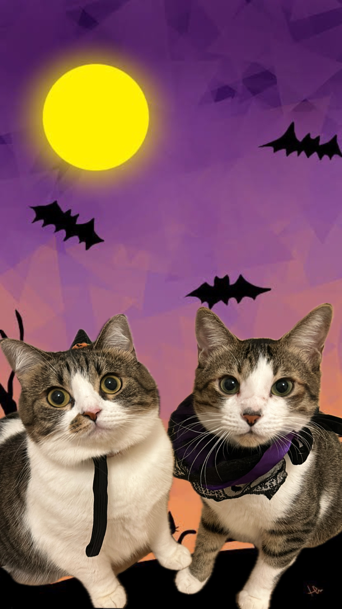 《HappyHalloween》の画像