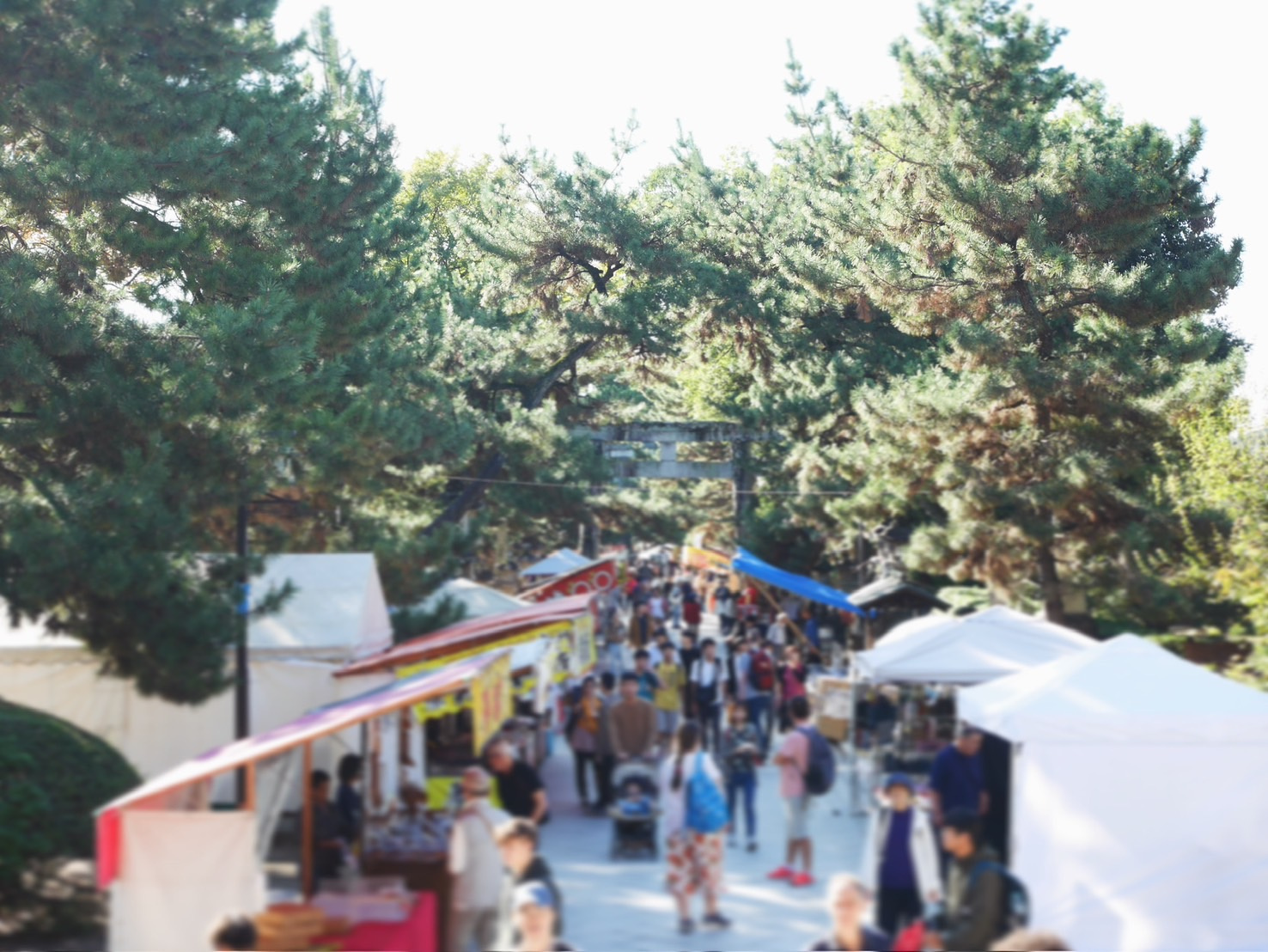 天神市へ行ってきました！の画像