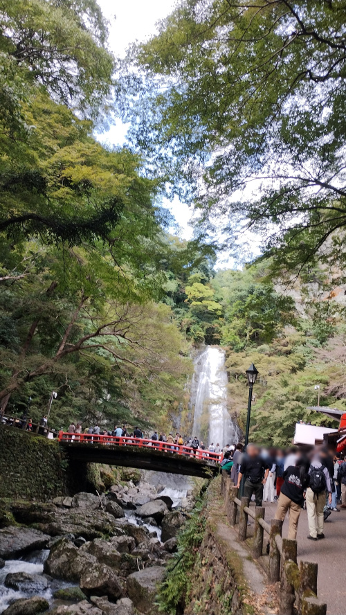 箕面大滝の画像