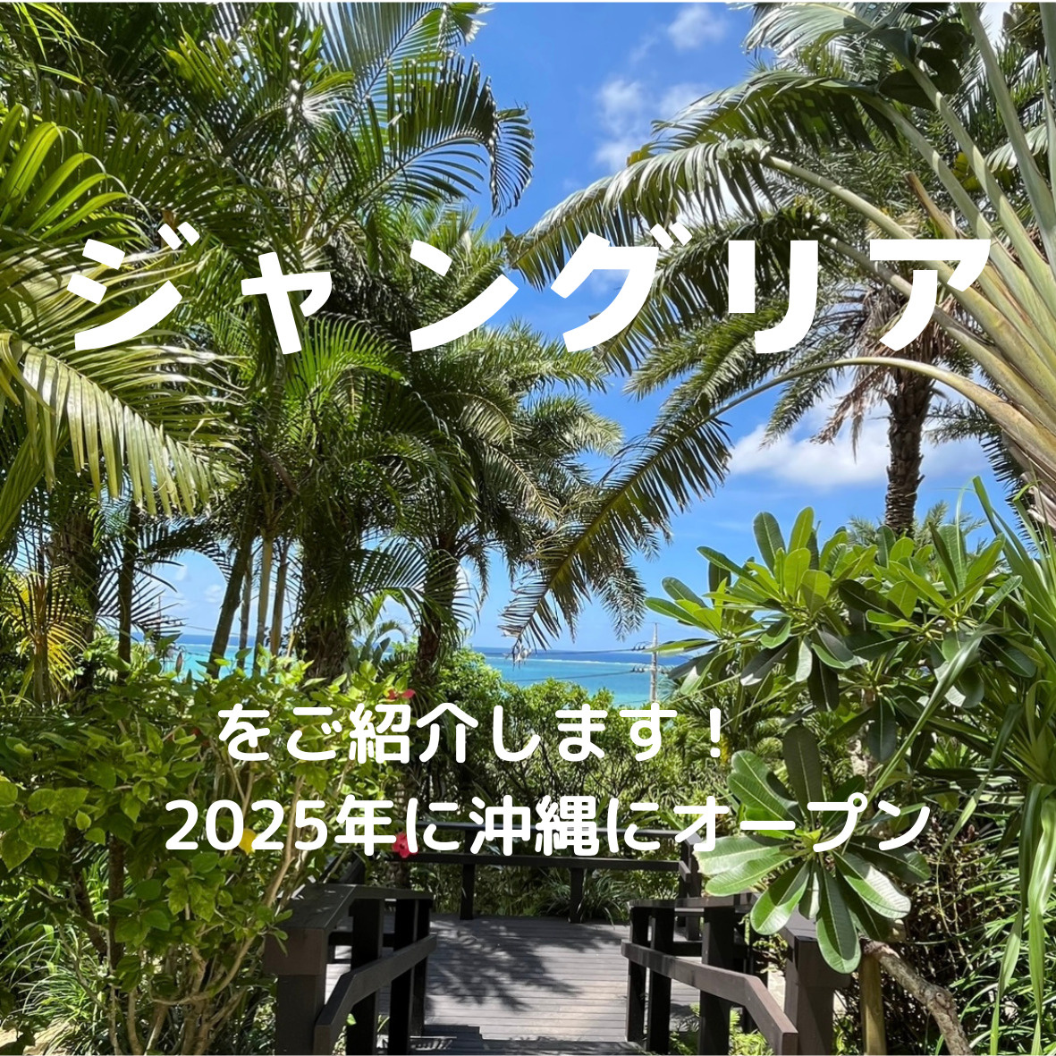 2025年沖縄本島北部にオープン予定≪ジャングリア≫をご紹介！の画像
