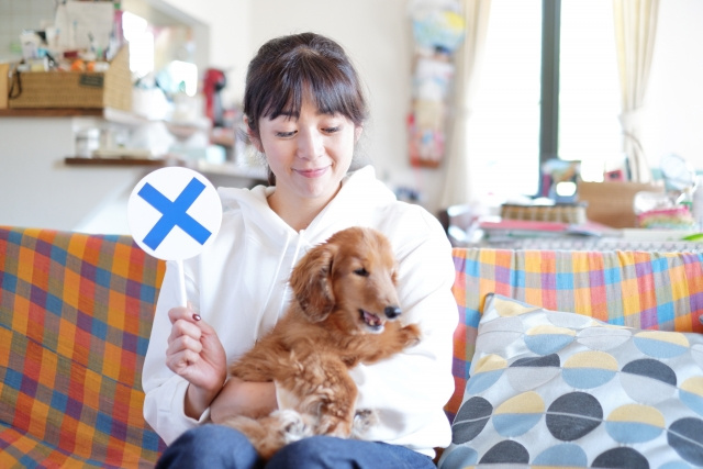 ペット禁止の賃貸物件でこっそり飼うとどうなる？