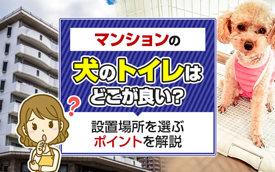 マンションの犬のトイレはどこが良い？設置場所を選ぶポイントを解説の画像