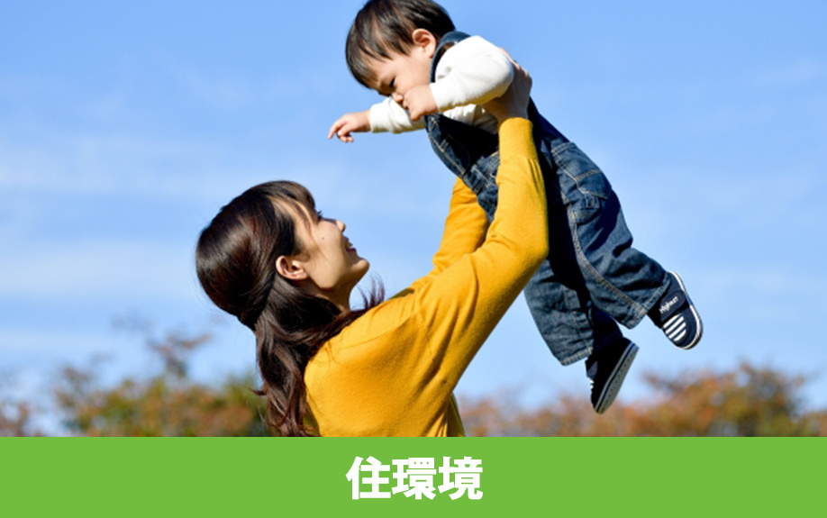 航空公園駅周辺の住環境から見た住みやすさ