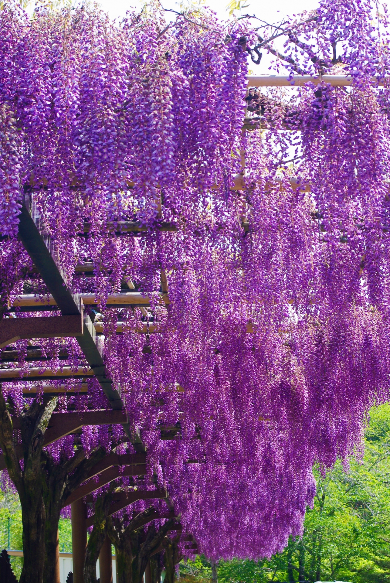 【2024年】津島市で市街化調整区域の土地を売却する方法！の画像