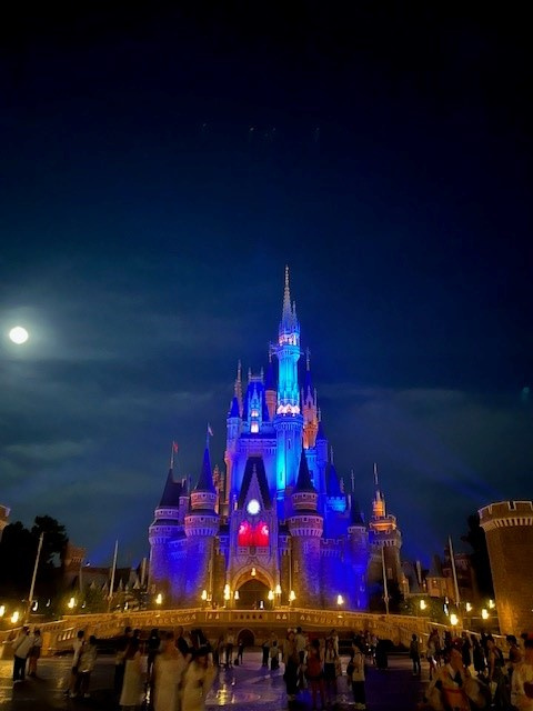 ディズニーランドの画像