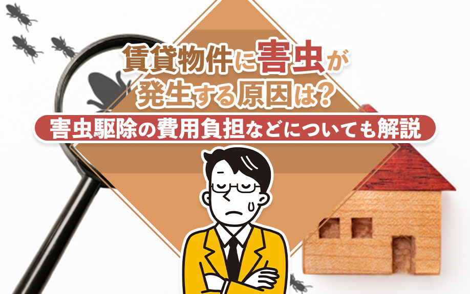 賃貸の害虫トラブル｜駆除費用は誰が払う？原因別の対策と入居前の予防術の画像