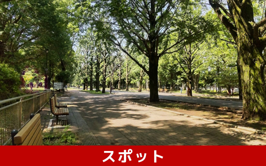 練馬区の住みやすさ～おすすめスポット