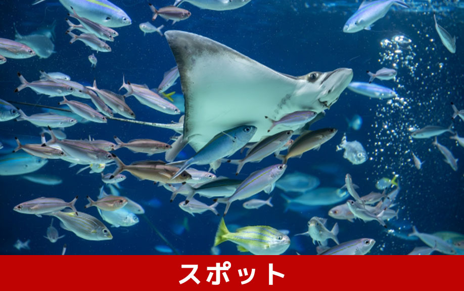 豊島区のお出かけスポット