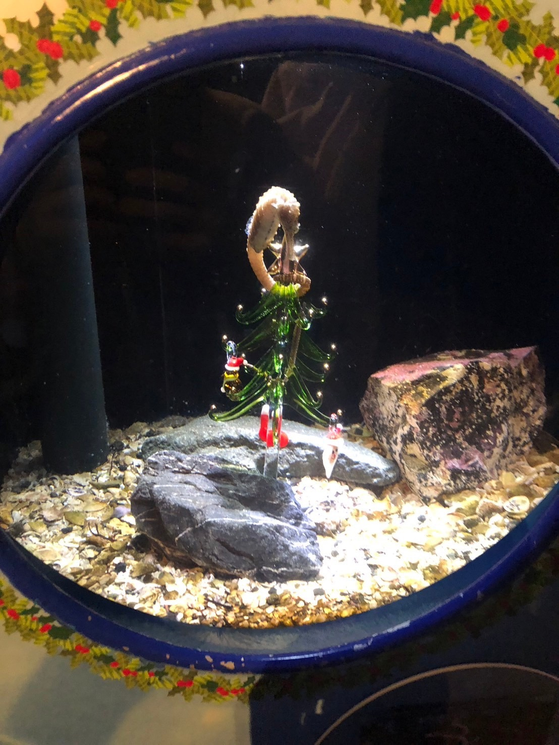 新江ノ島水族館の画像