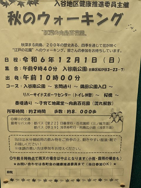 台東区入谷地区主催の秋のウォーキングの画像