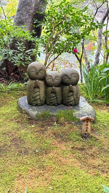 鎌倉でランチ♪の画像