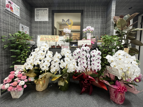 不動産事業部　開業しました！！の画像