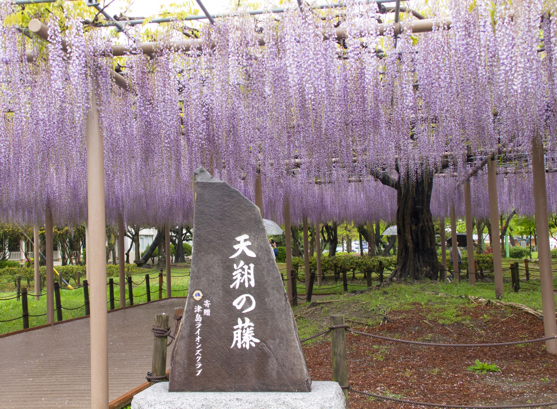 【2024年】市街化調整区域での宅地売却！不動産会社選びの秘訣とは？の画像