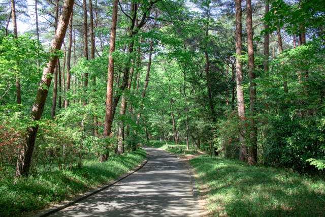 北区にある「ひよどりごえ森林公園」の概要！特徴もご紹介