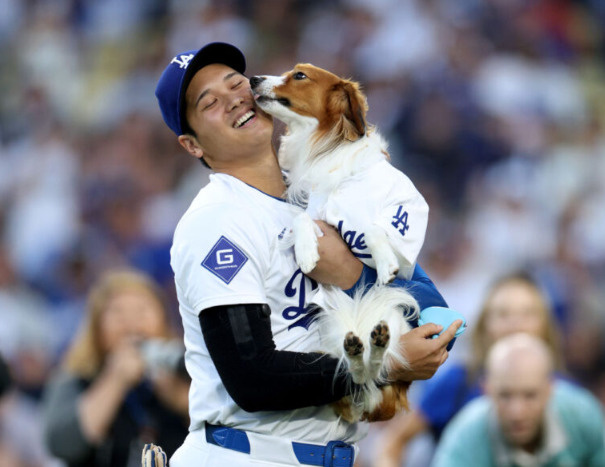 前人未到！の画像