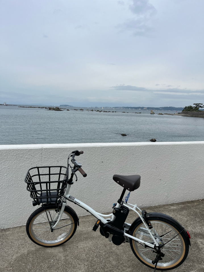 念願の・・・の画像