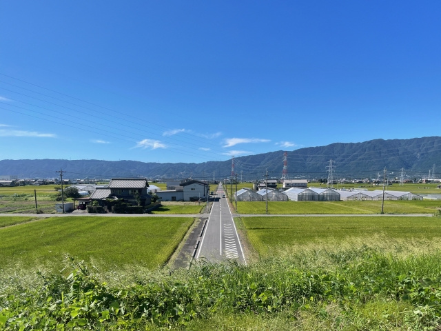 市街化調整区域の路線価とは?相続税評価や土地の処分方法について解説の画像