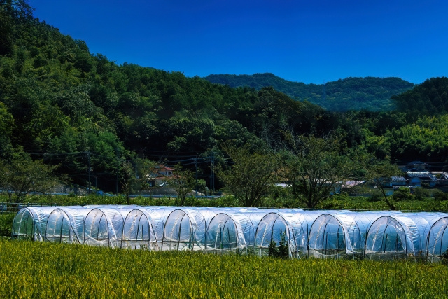 路線価がない市街化調整区域とは？雑種地の相続税評価をどうするか解説