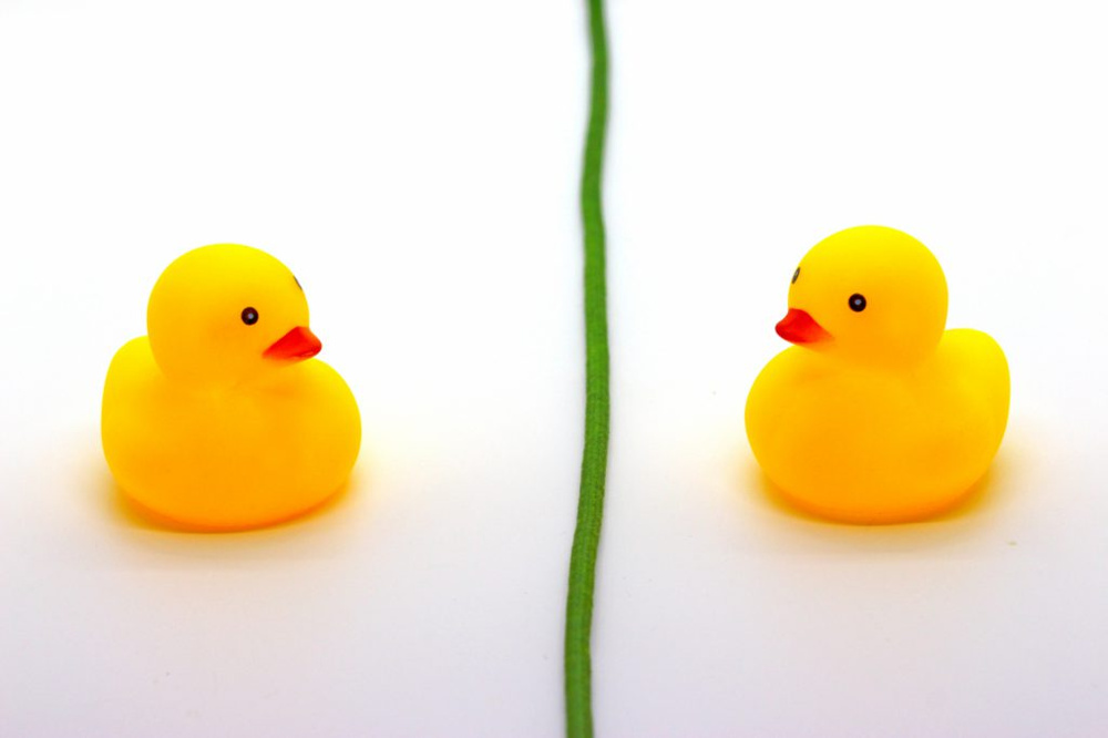 川越の不動産屋が解説する「越境」の解決方法とは！【体験談を交えて解説】の画像