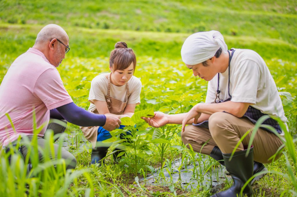 農地法って何だろう？改正農地法の要点もまとめて川越の不動産屋が解説します！の画像