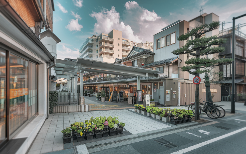 京橋駅周辺のペット可物件！理想の住まい探しのヒントの画像