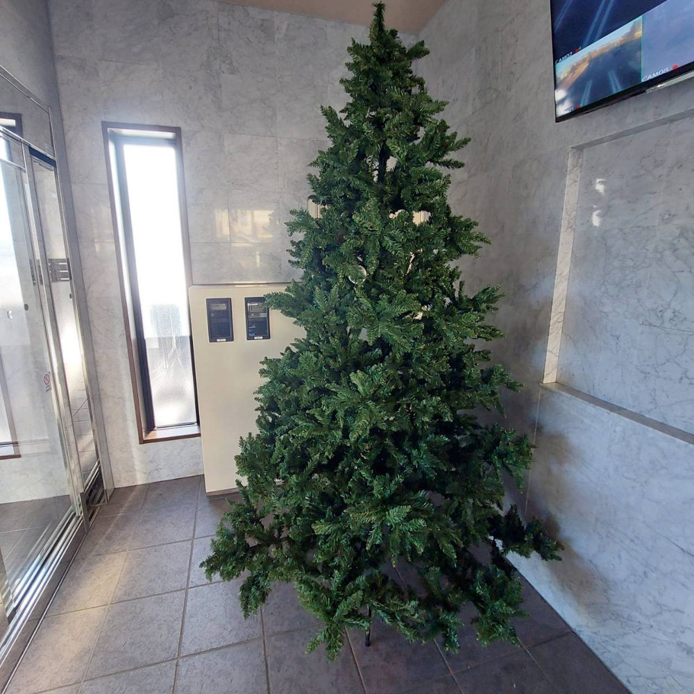 クリスマスツリー飾りつけの画像