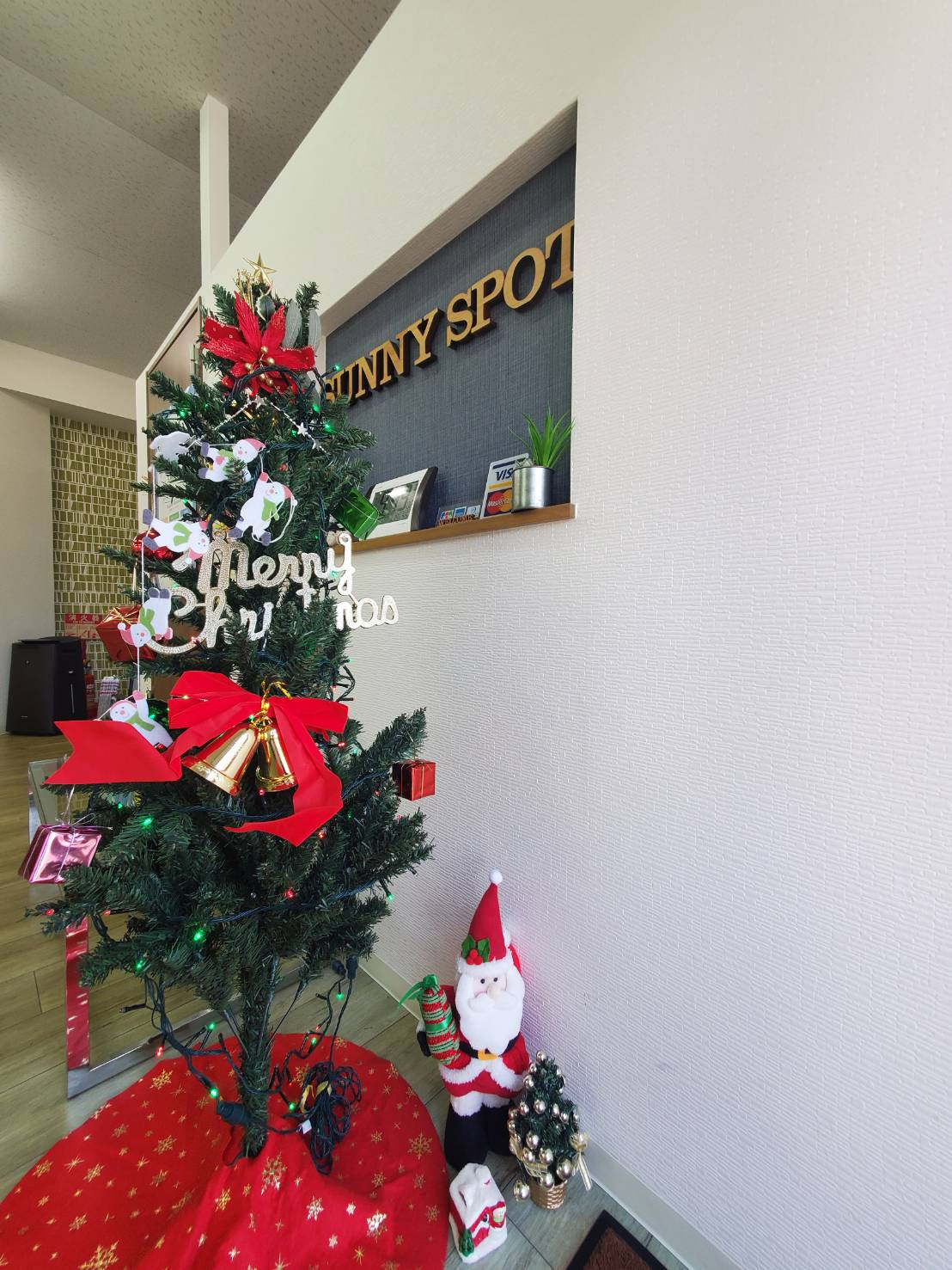 クリスマスツリー解禁♪の画像