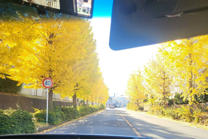 紅葉の画像