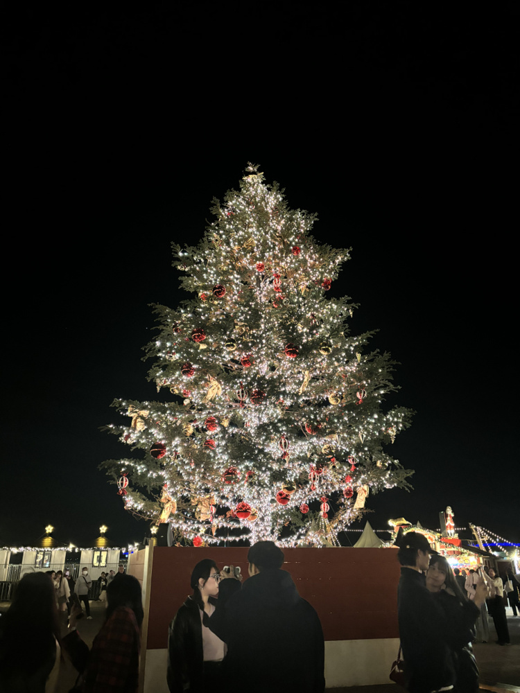 一足早く、クリスマス気分!!の画像