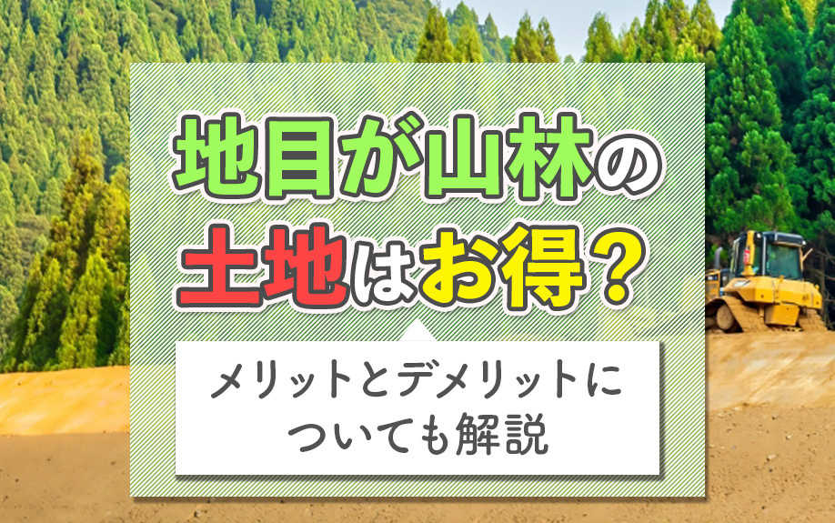 地目が山林の土地はお得？メリットとデメリットについても解説
