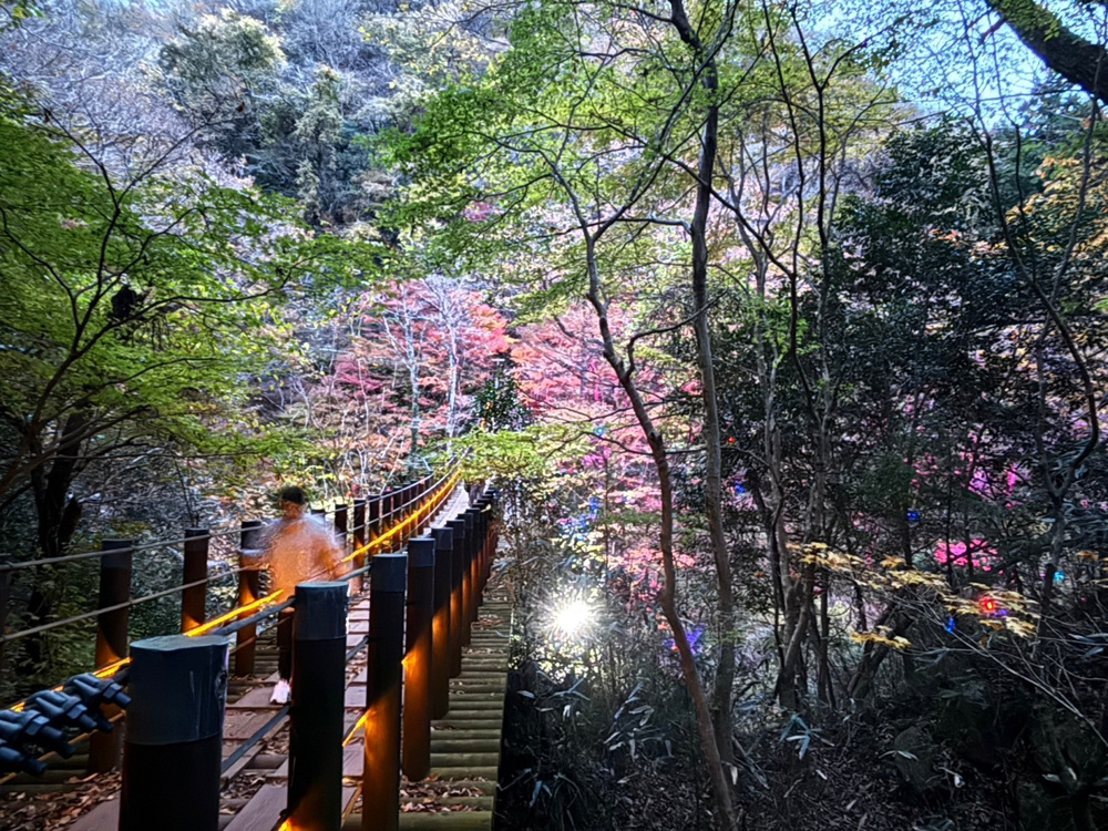 ☆紅葉見にいこうよう☆の画像