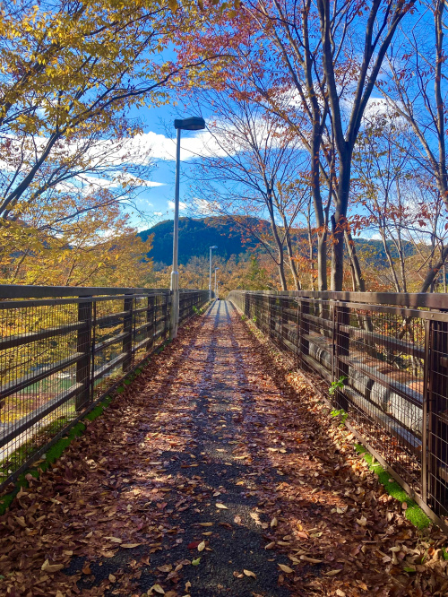 秩父・長瀞行ってきました♩の画像