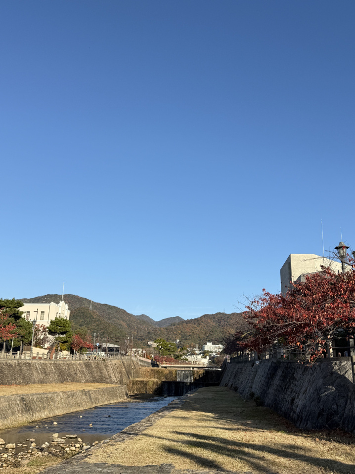 2024年　年末年始休業と、夜間休日対応のお知らせの画像