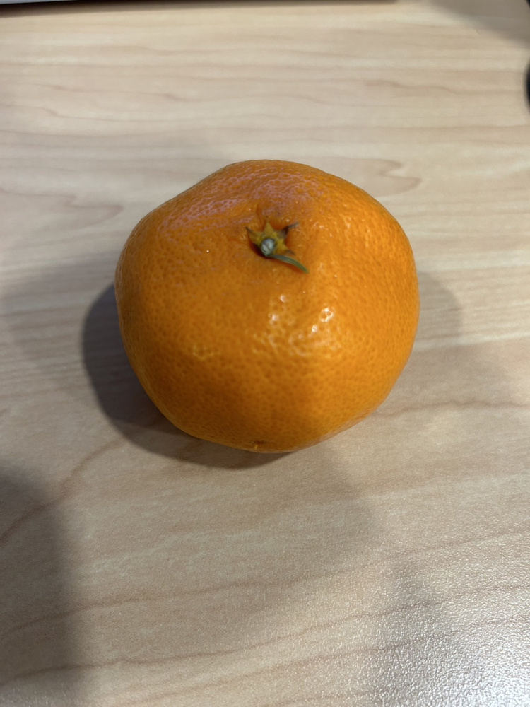 みかんの美味しい季節がやってきました！の画像
