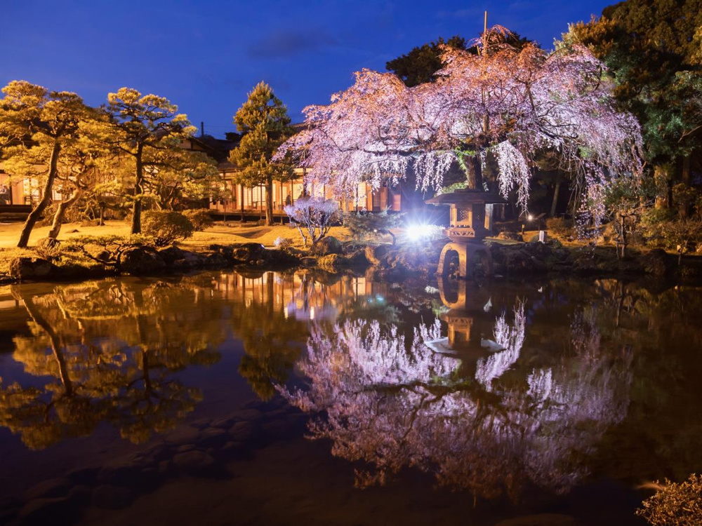 三島市の「松韻」の魅力ご紹介！！の画像