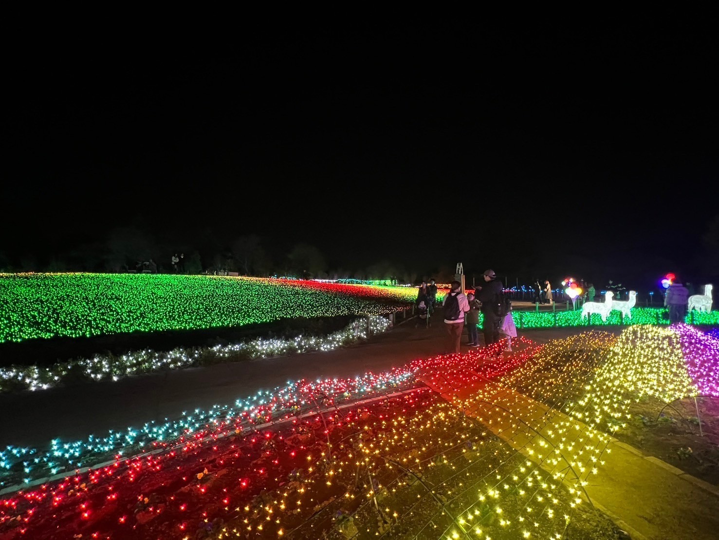 ⌇もうすぐクリスマス☺︎⌇の画像